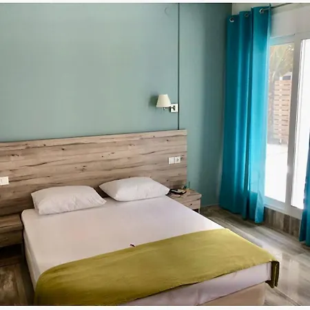 αvli & No1 サルティ