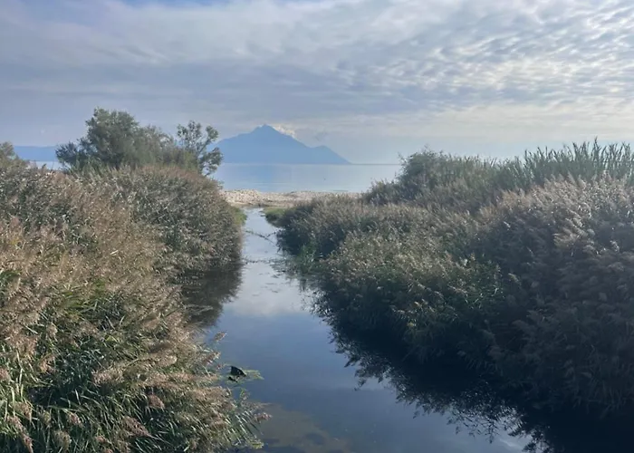 Αvli Sarti Studios & Apartments No1 아파트